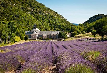 Fototapeta Provence 24028